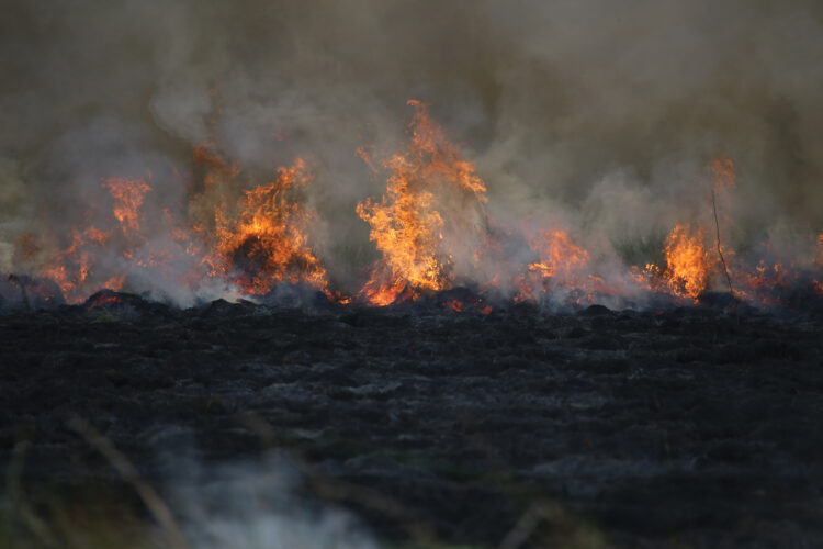 Pasture Burning Safety Tips